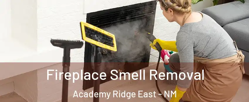 Fireplace Smell Removal Academy Ridge East - NM