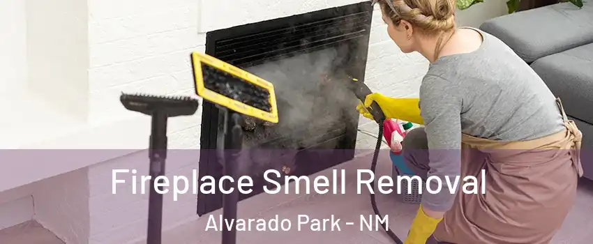Fireplace Smell Removal Alvarado Park - NM