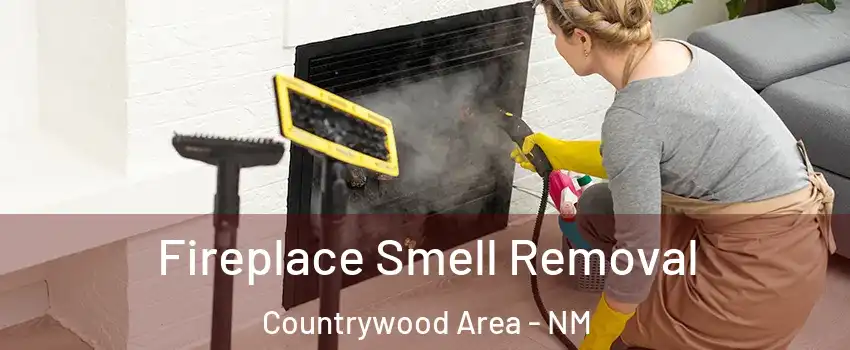 Fireplace Smell Removal Countrywood Area - NM