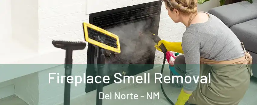 Fireplace Smell Removal Del Norte - NM