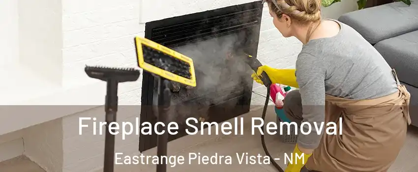 Fireplace Smell Removal Eastrange Piedra Vista - NM