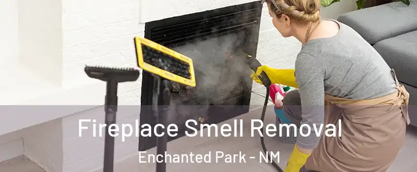 Fireplace Smell Removal Enchanted Park - NM