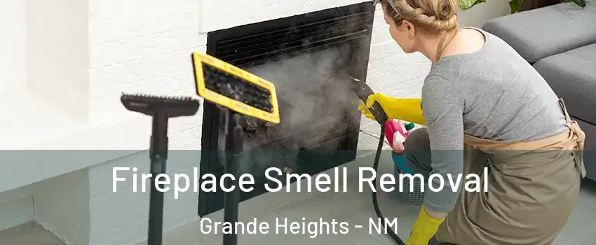 Fireplace Smell Removal Grande Heights - NM