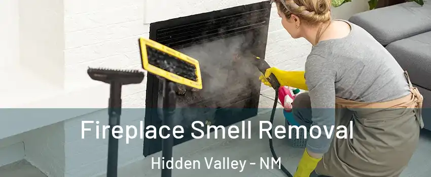 Fireplace Smell Removal Hidden Valley - NM