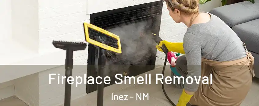 Fireplace Smell Removal Inez - NM