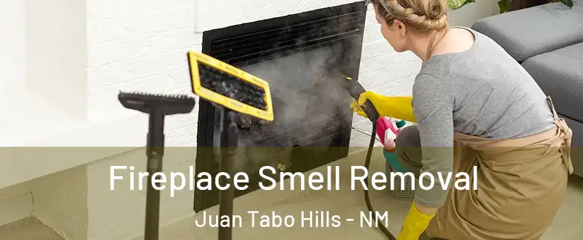 Fireplace Smell Removal Juan Tabo Hills - NM