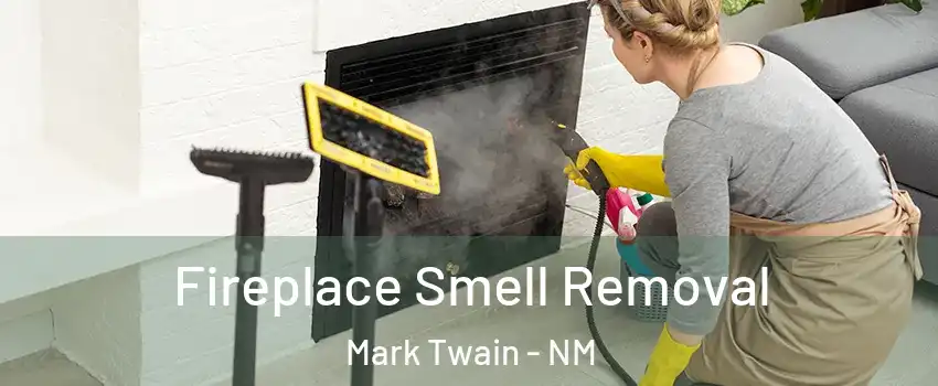 Fireplace Smell Removal Mark Twain - NM