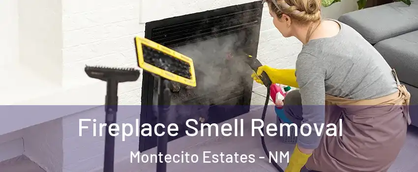 Fireplace Smell Removal Montecito Estates - NM