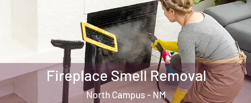 Fireplace Smell Removal North Campus - NM