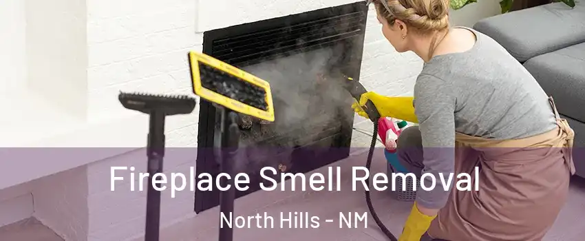 Fireplace Smell Removal North Hills - NM
