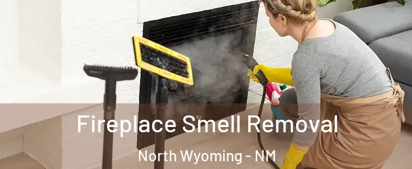 Fireplace Smell Removal North Wyoming - NM