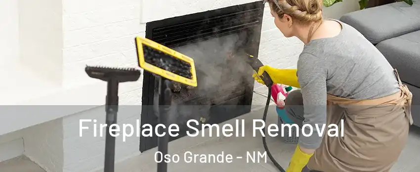 Fireplace Smell Removal Oso Grande - NM