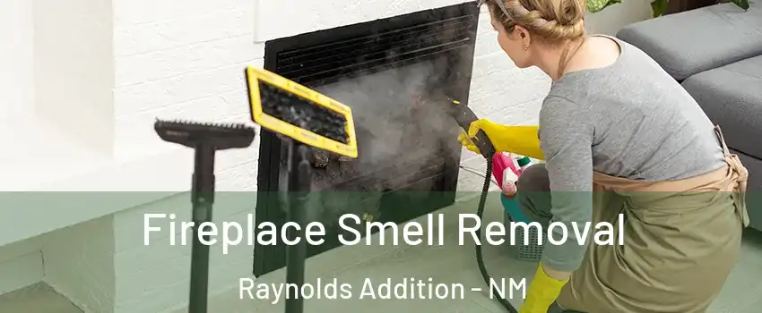 Fireplace Smell Removal Raynolds Addition - NM