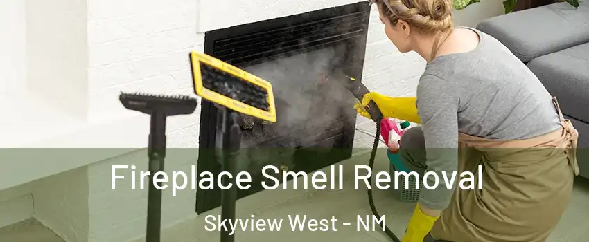 Fireplace Smell Removal Skyview West - NM