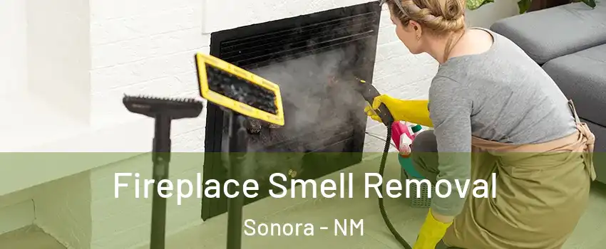Fireplace Smell Removal Sonora - NM