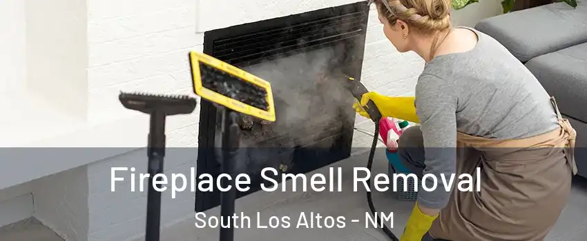 Fireplace Smell Removal South Los Altos - NM