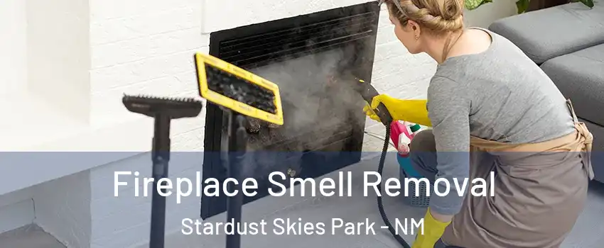 Fireplace Smell Removal Stardust Skies Park - NM