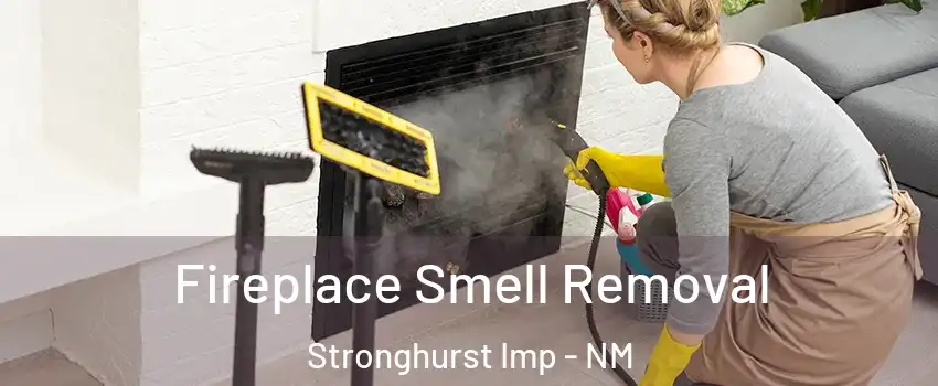 Fireplace Smell Removal Stronghurst Imp - NM