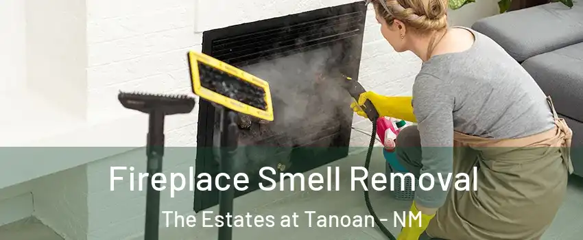 Fireplace Smell Removal The Estates at Tanoan - NM