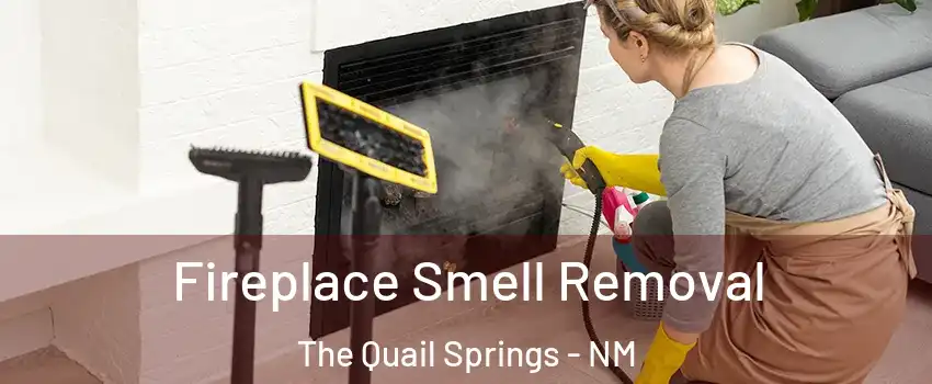 Fireplace Smell Removal The Quail Springs - NM