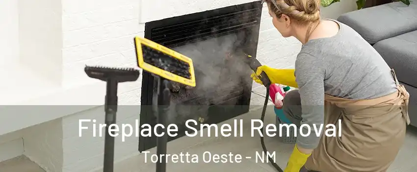 Fireplace Smell Removal Torretta Oeste - NM