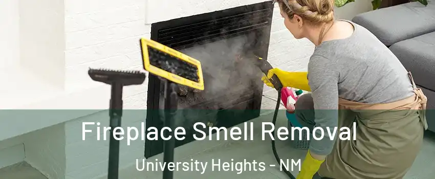 Fireplace Smell Removal University Heights - NM