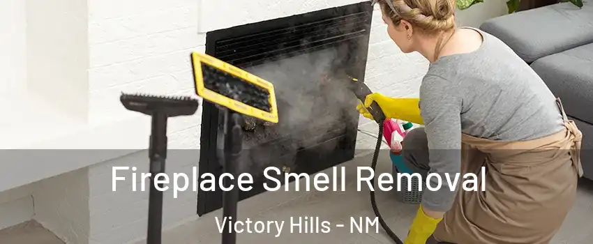 Fireplace Smell Removal Victory Hills - NM