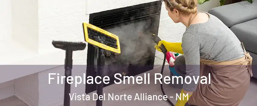 Fireplace Smell Removal Vista Del Norte Alliance - NM