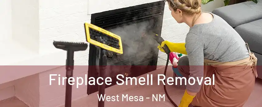 Fireplace Smell Removal West Mesa - NM