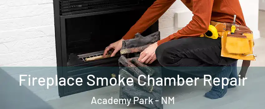 Fireplace Smoke Chamber Repair Academy Park - NM