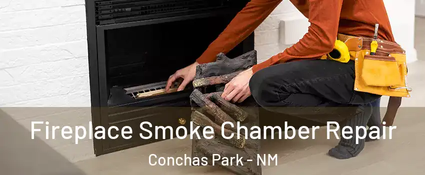 Fireplace Smoke Chamber Repair Conchas Park - NM