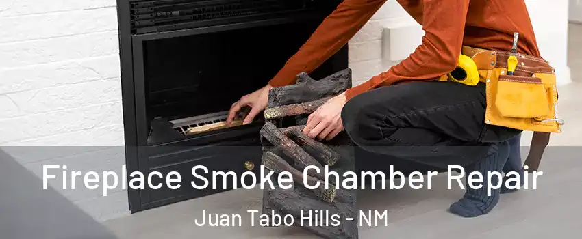 Fireplace Smoke Chamber Repair Juan Tabo Hills - NM
