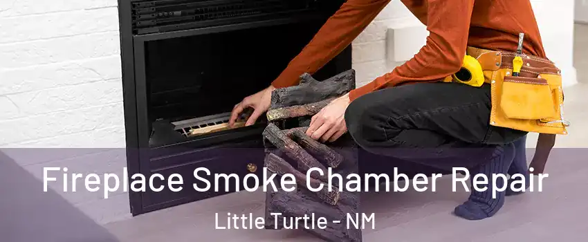 Fireplace Smoke Chamber Repair Little Turtle - NM