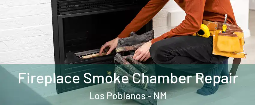 Fireplace Smoke Chamber Repair Los Poblanos - NM