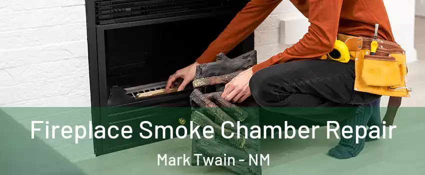 Fireplace Smoke Chamber Repair Mark Twain - NM