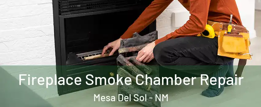Fireplace Smoke Chamber Repair Mesa Del Sol - NM