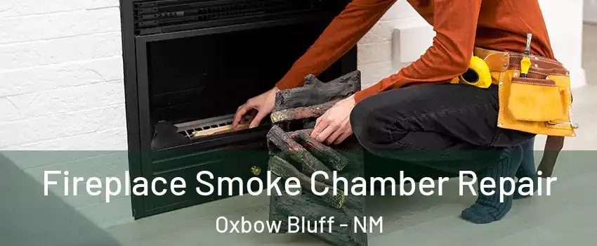 Fireplace Smoke Chamber Repair Oxbow Bluff - NM