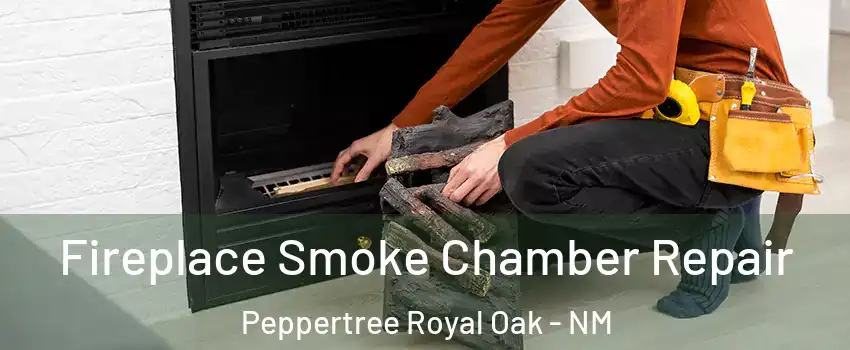 Fireplace Smoke Chamber Repair Peppertree Royal Oak - NM