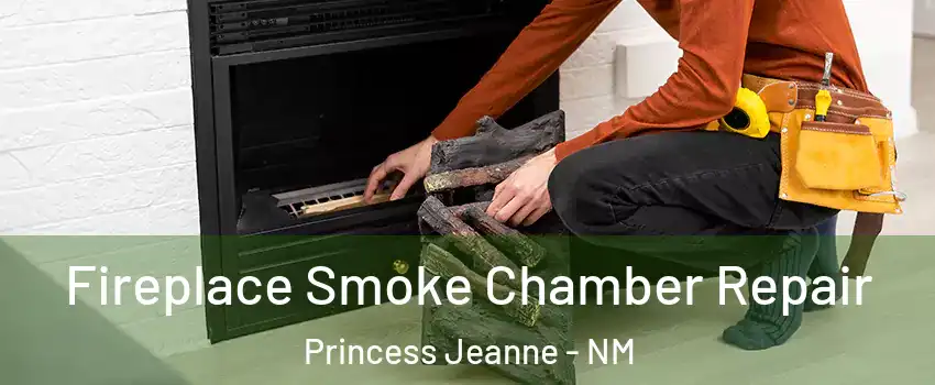 Fireplace Smoke Chamber Repair Princess Jeanne - NM
