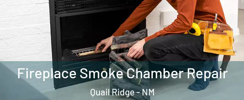 Fireplace Smoke Chamber Repair Quail Ridge - NM