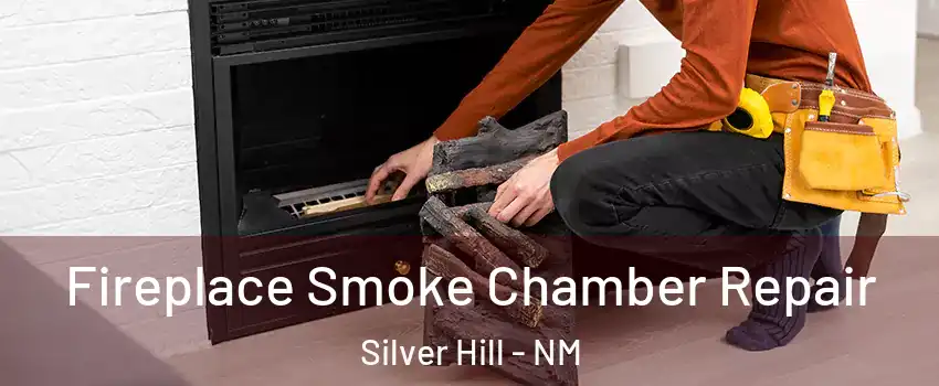 Fireplace Smoke Chamber Repair Silver Hill - NM