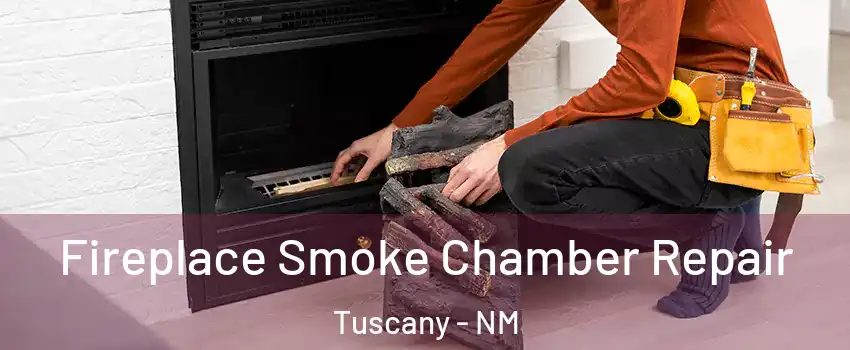 Fireplace Smoke Chamber Repair Tuscany - NM