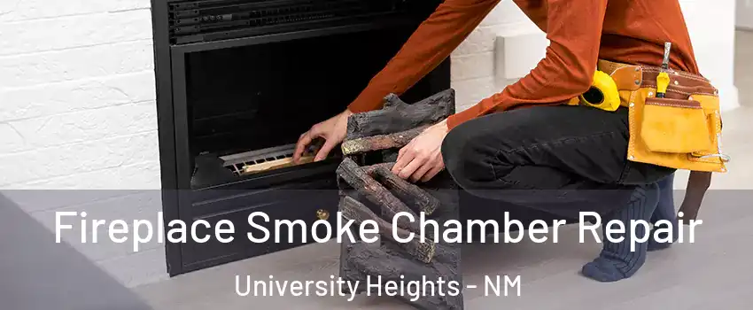 Fireplace Smoke Chamber Repair University Heights - NM