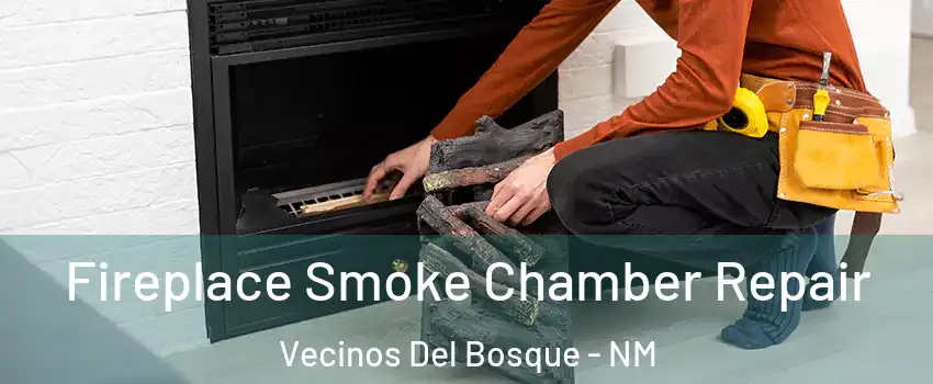 Fireplace Smoke Chamber Repair Vecinos Del Bosque - NM