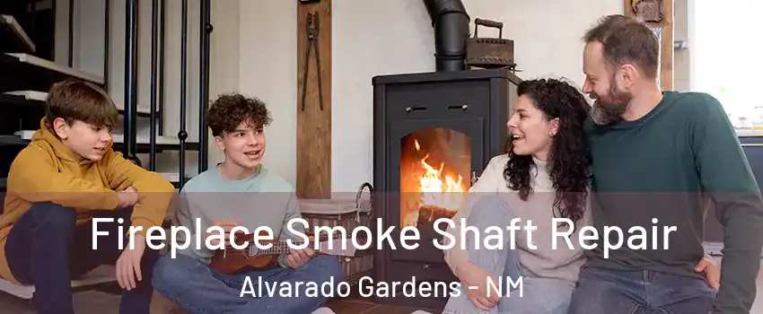 Fireplace Smoke Shaft Repair Alvarado Gardens - NM
