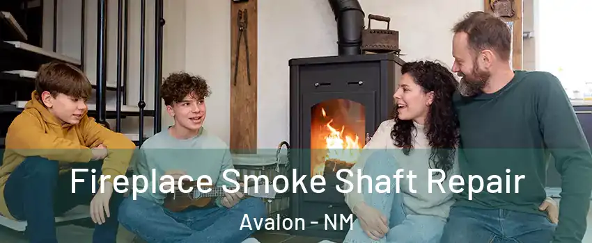 Fireplace Smoke Shaft Repair Avalon - NM