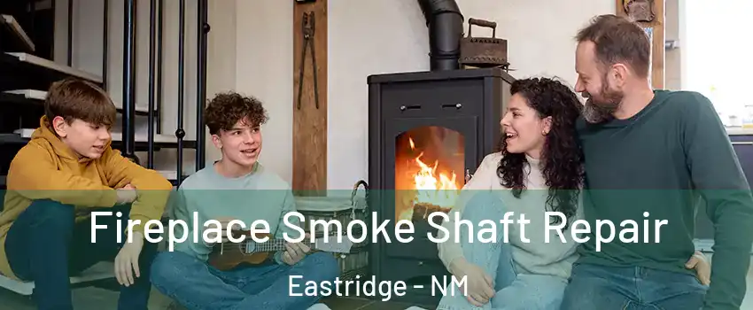 Fireplace Smoke Shaft Repair Eastridge - NM