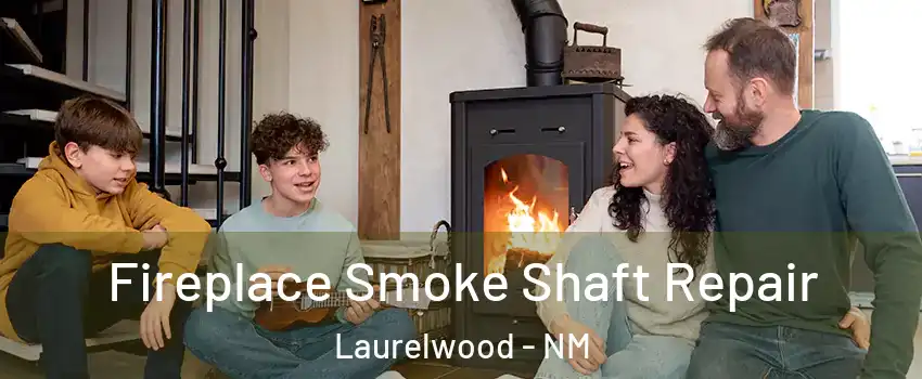 Fireplace Smoke Shaft Repair Laurelwood - NM