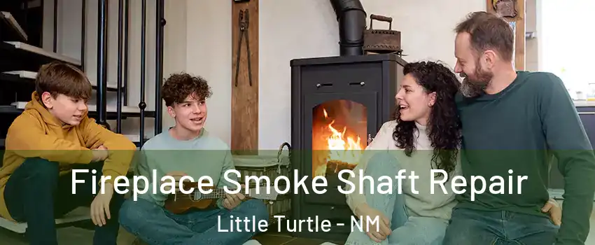 Fireplace Smoke Shaft Repair Little Turtle - NM