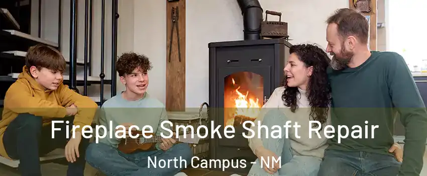 Fireplace Smoke Shaft Repair North Campus - NM
